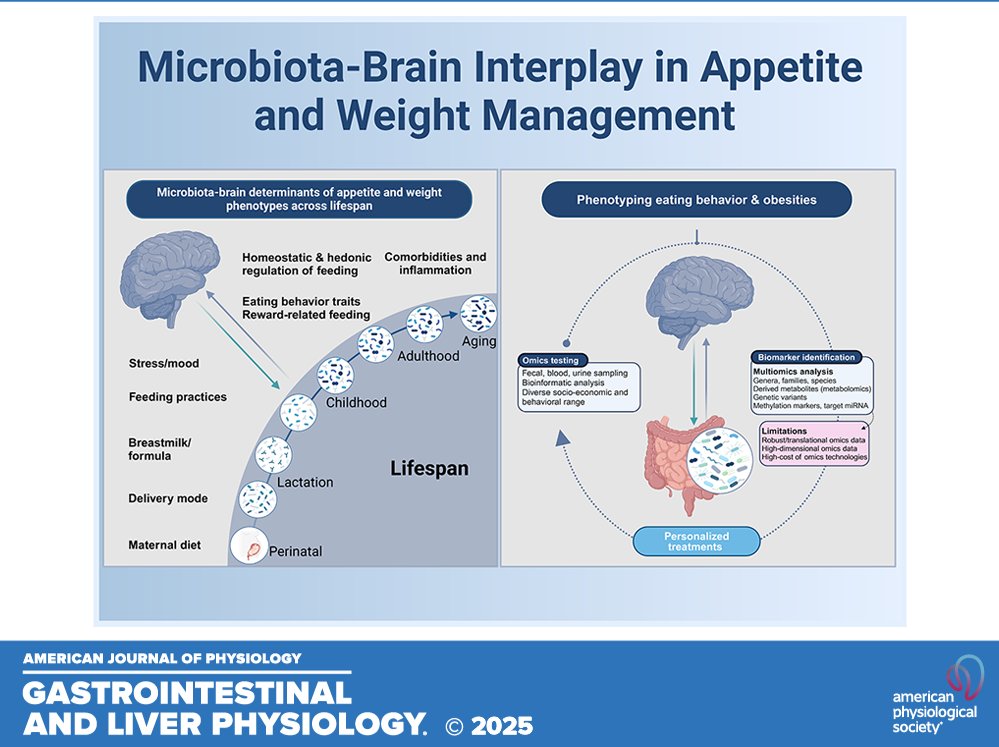 AJP-Gastrointestinal and Liver Physiology tweet media