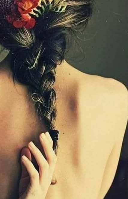 Metropolitan tweet media