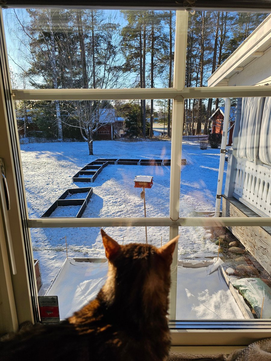 Vilyaroo tweet media