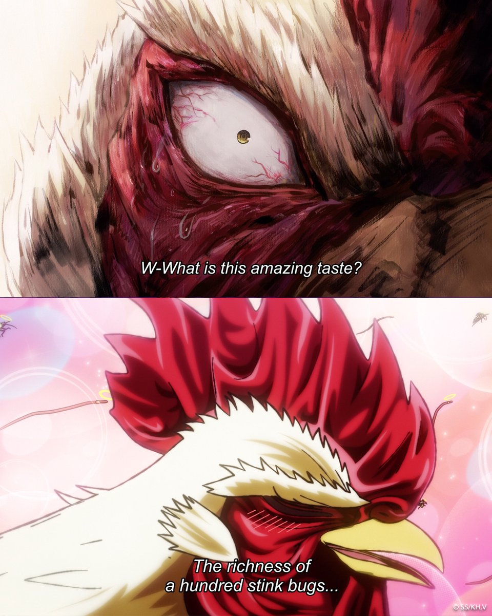 Rooster Fighter tweet media