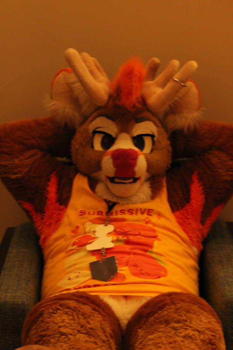 Aloy_Deer 🦌 tweet media