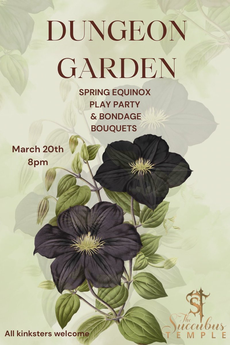 Mistress Damazonia 👑 tweet media