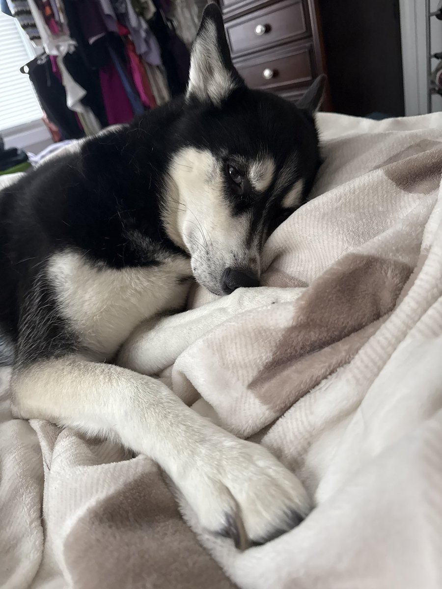 beatdropbri tweet media