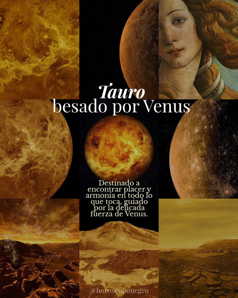 ▲TAURO▲ tweet media