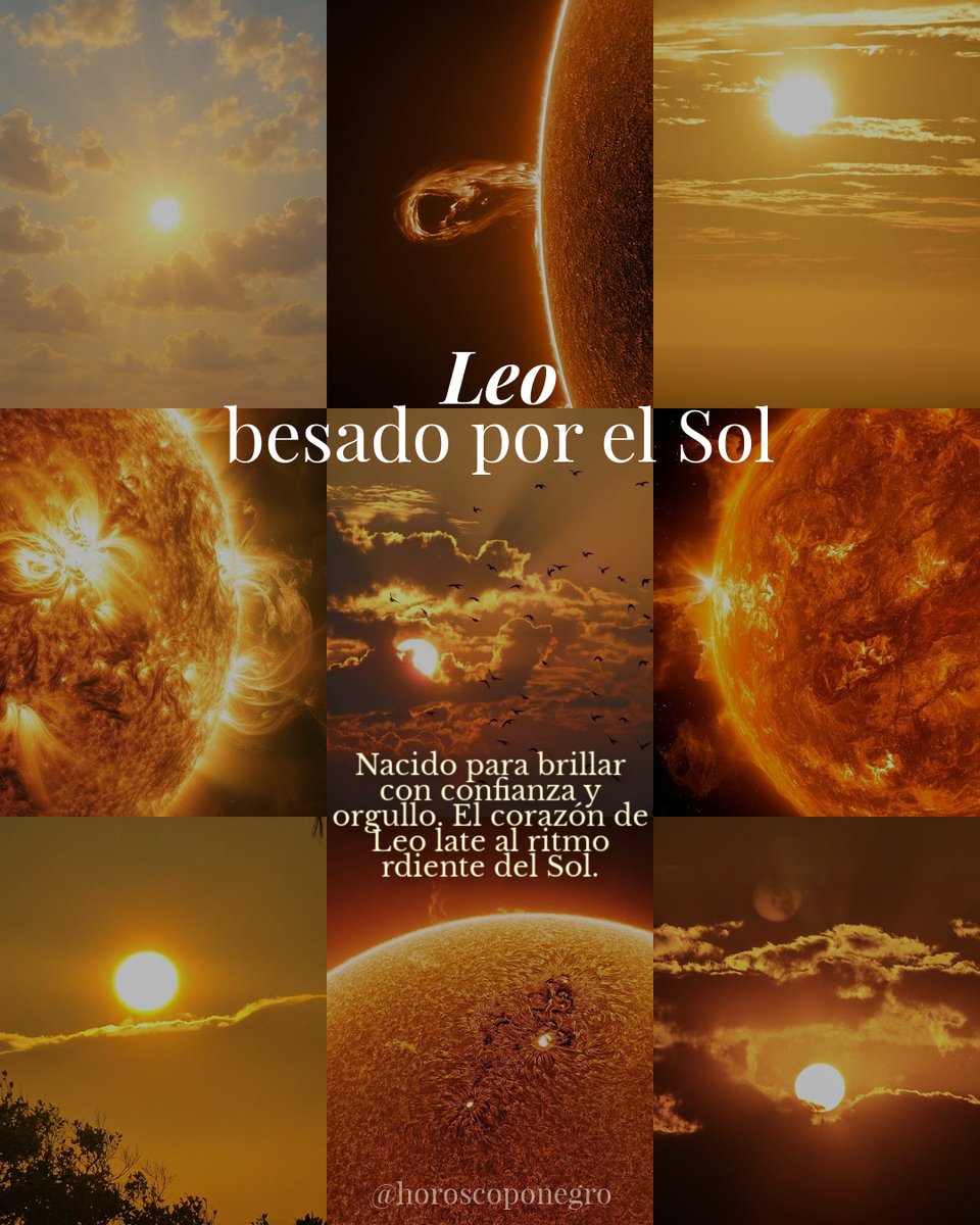 Nacimos destinados a ser guiados por... ✨🔮