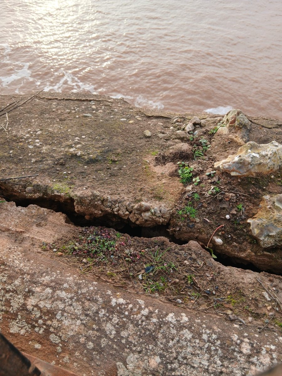 East Devon District Council tweet media