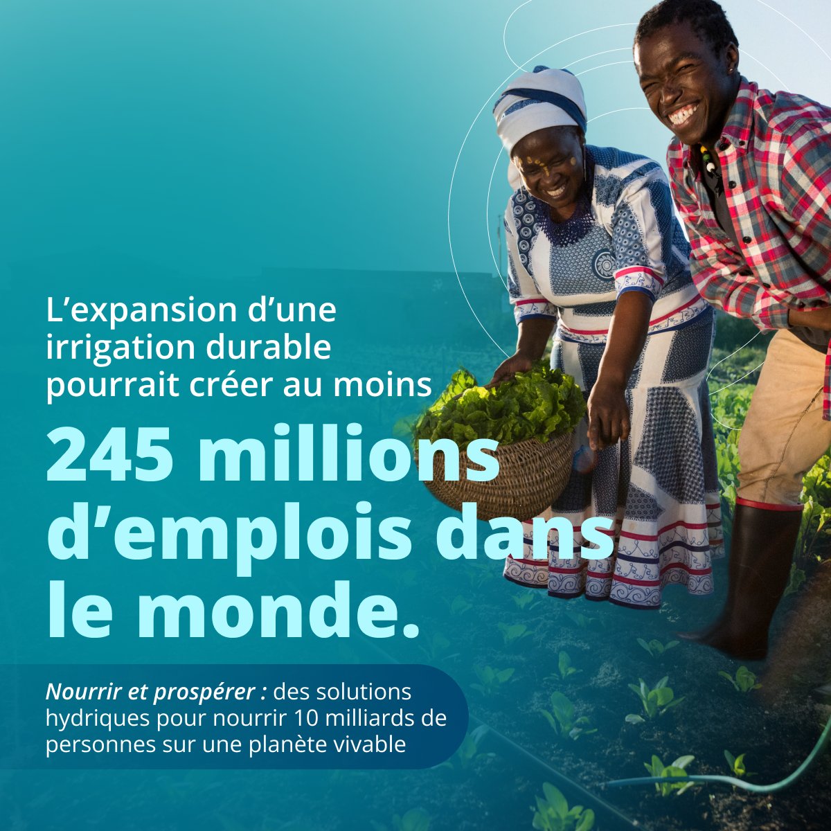 Banque mondiale tweet media