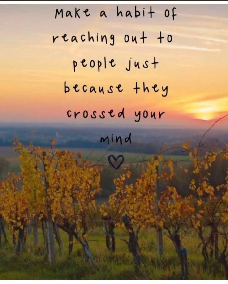 Ben Morrison Fund tweet media