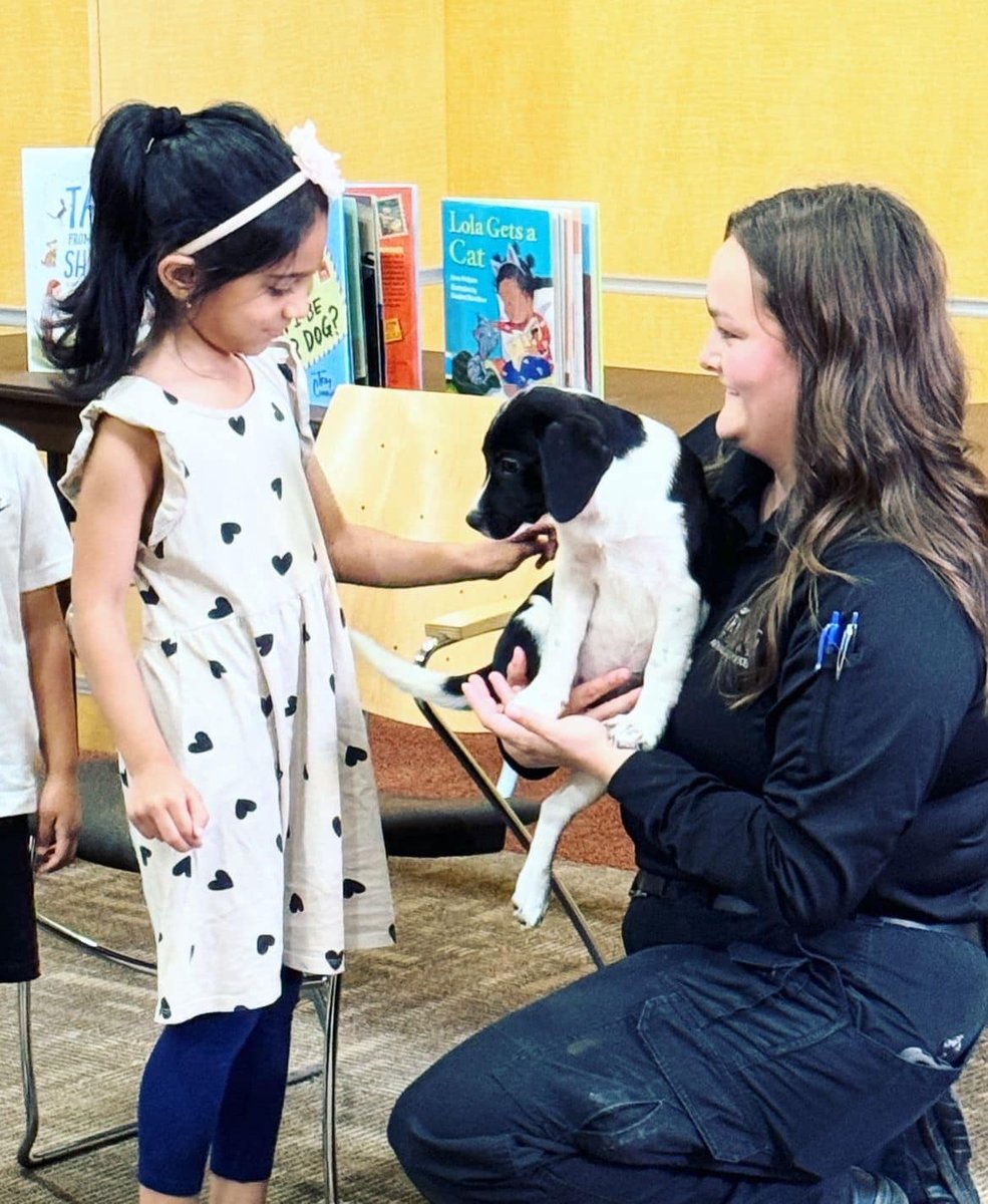 Irving Library tweet media