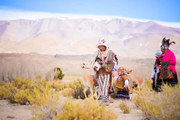 UNESCO Montevideo 🏛 tweet media