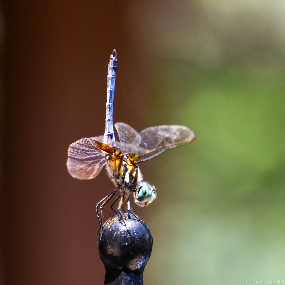 Haydel Consulting tweet media