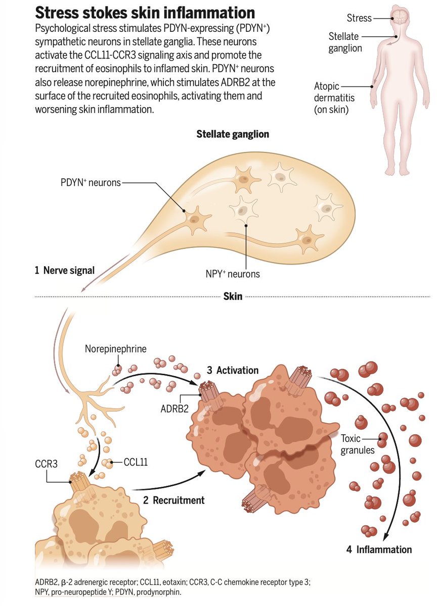 Eric Topol tweet media