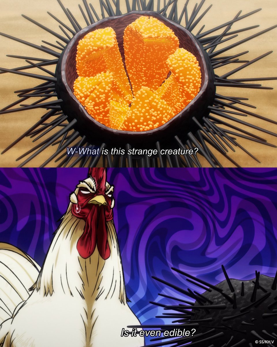 Rooster Fighter tweet media