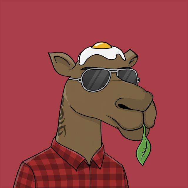 DϝLσ1913 🔥🚀🪐 tweet media