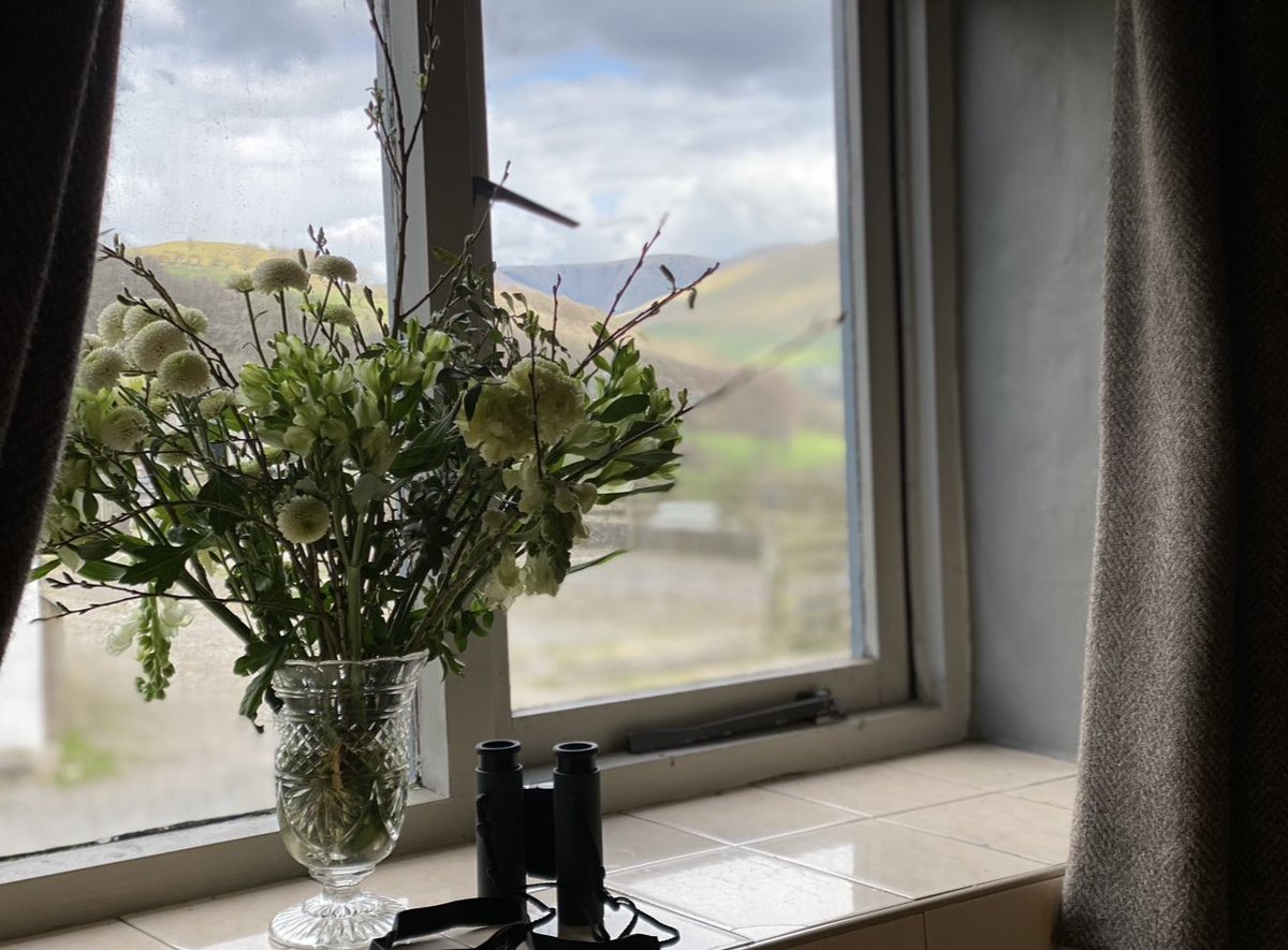 Alison O’Neill ~ Shepherdess tweet media