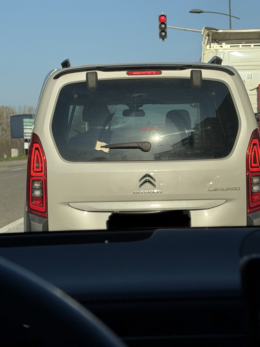 Provençal le gaulois tweet media