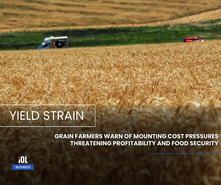 IOL News tweet media