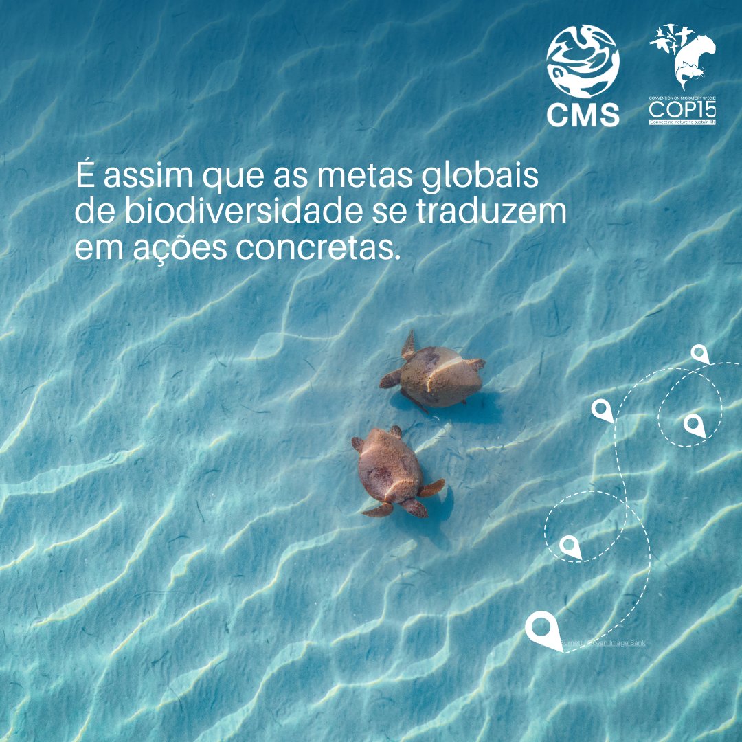 Programa da ONU para o Meio Ambiente tweet media