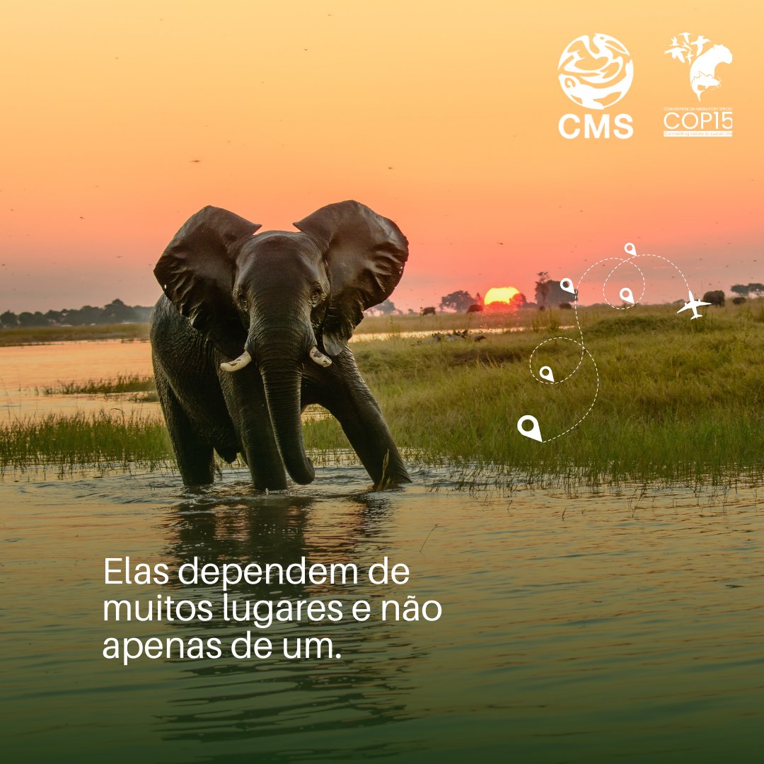 Programa da ONU para o Meio Ambiente tweet media