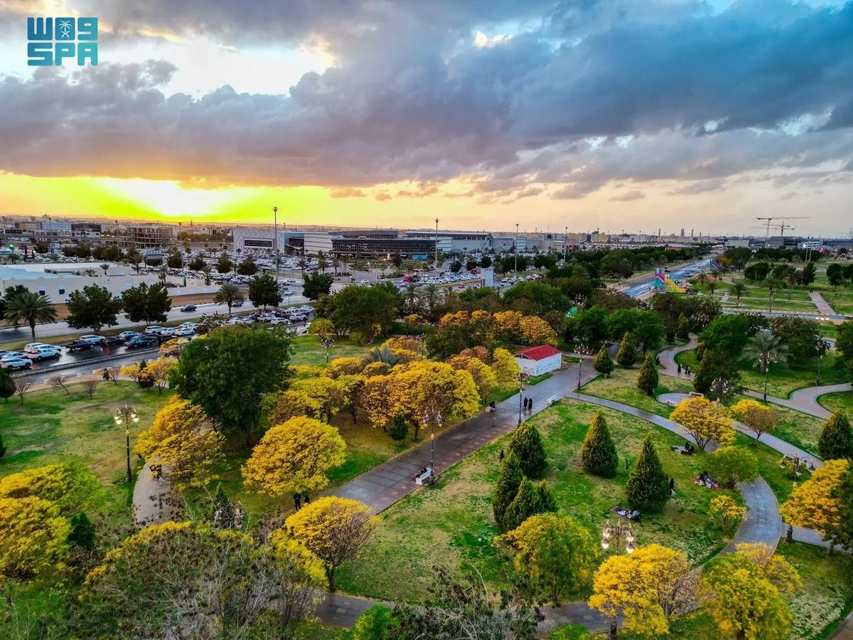 إمارة منطقة تبوك tweet media