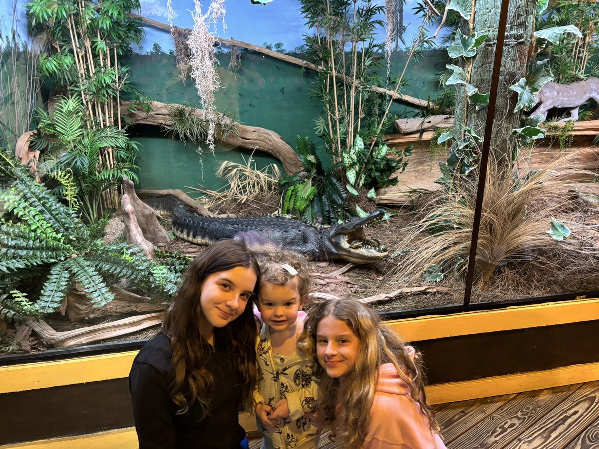 Dball333 tweet media