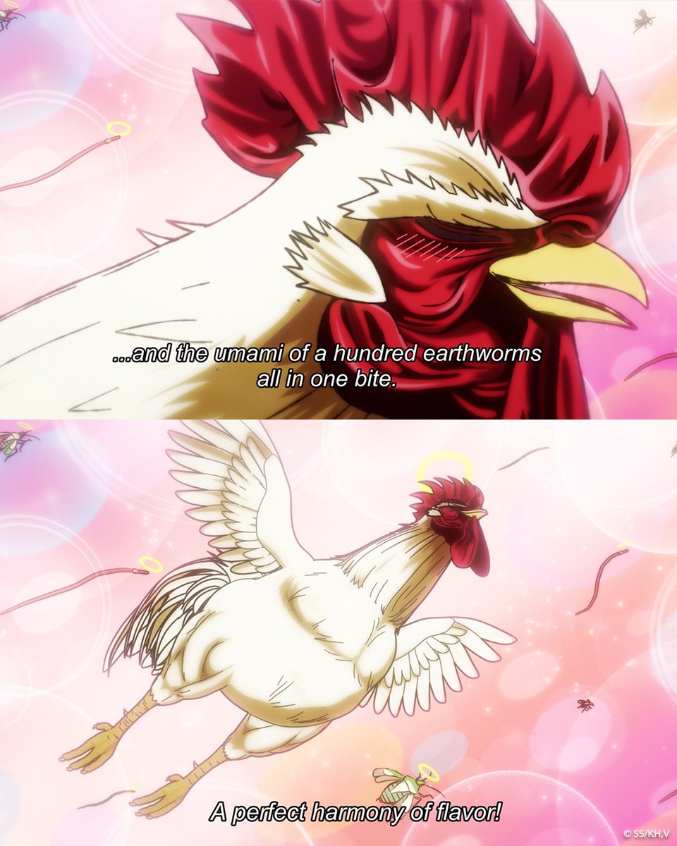 Rooster Fighter tweet media