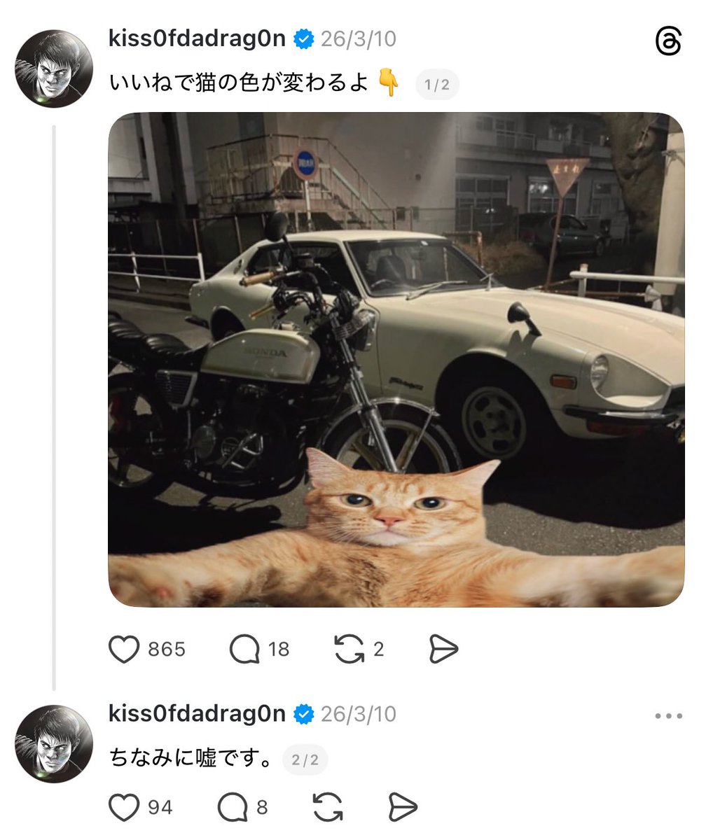 Z李 🇺🇦 NO WAR 🕊 tweet media