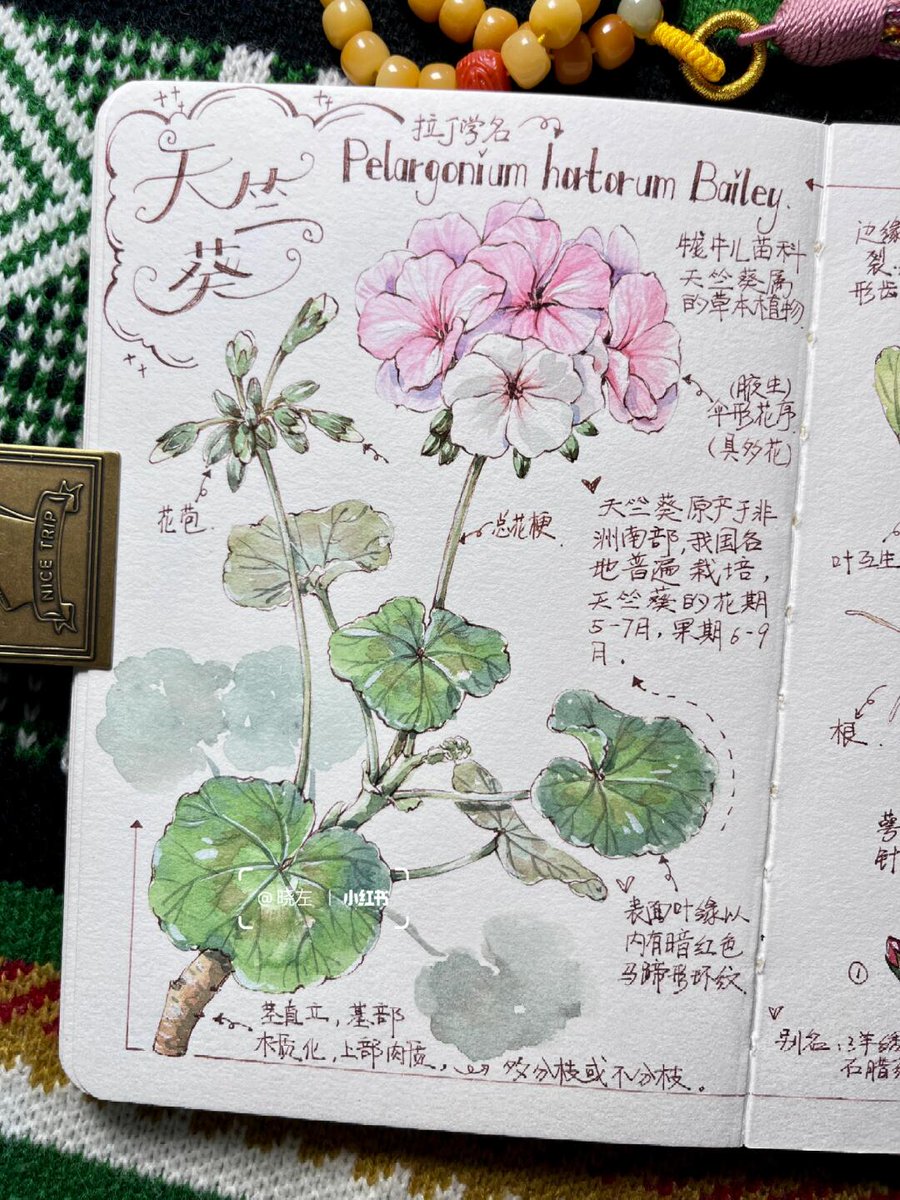 Don Chan tweet media