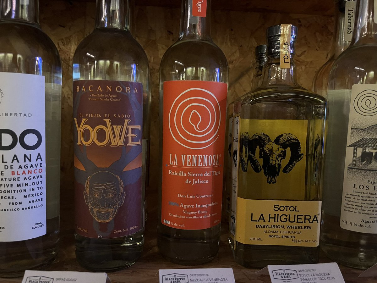 Bruno Figueroa tweet media