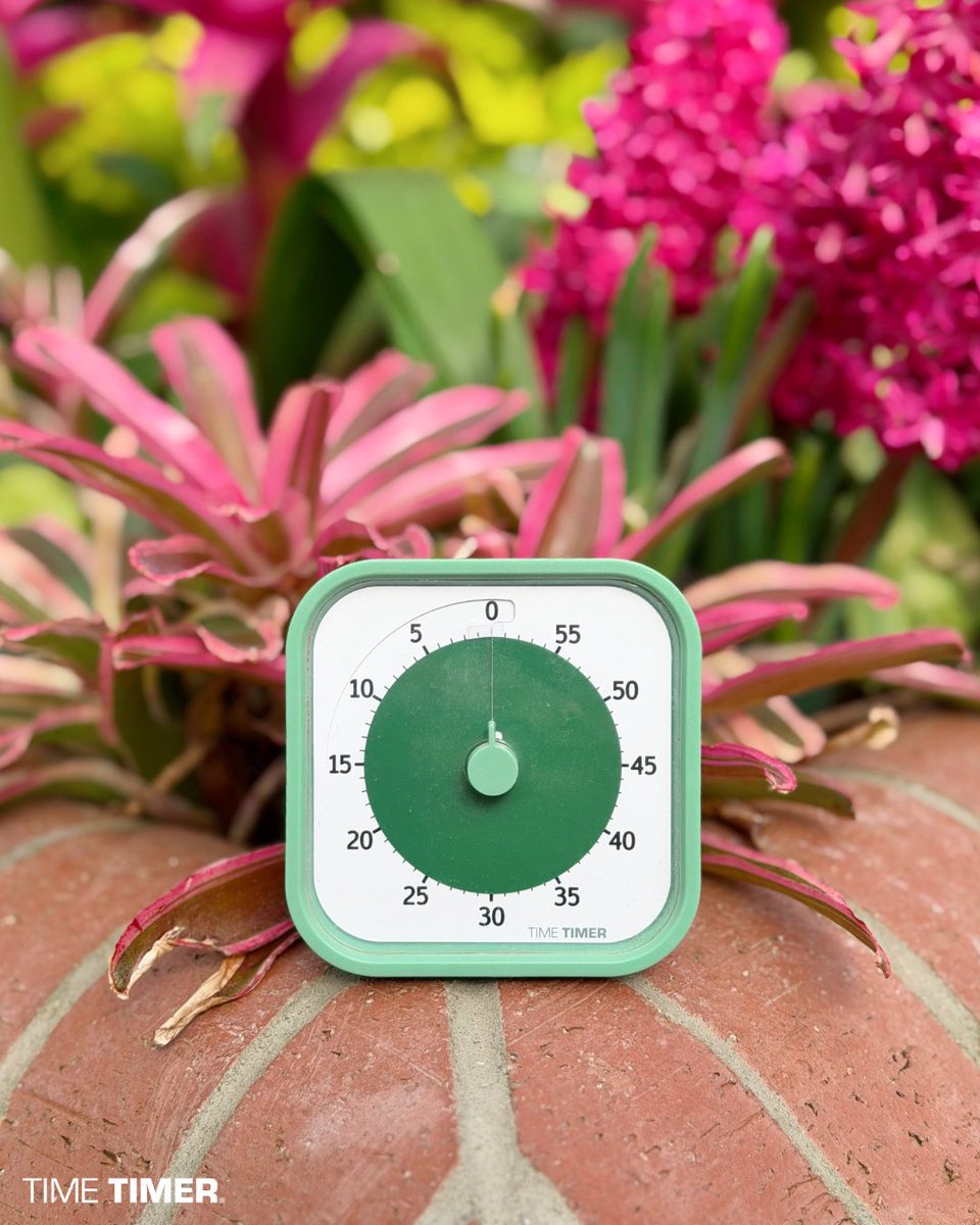 Time Timer tweet media