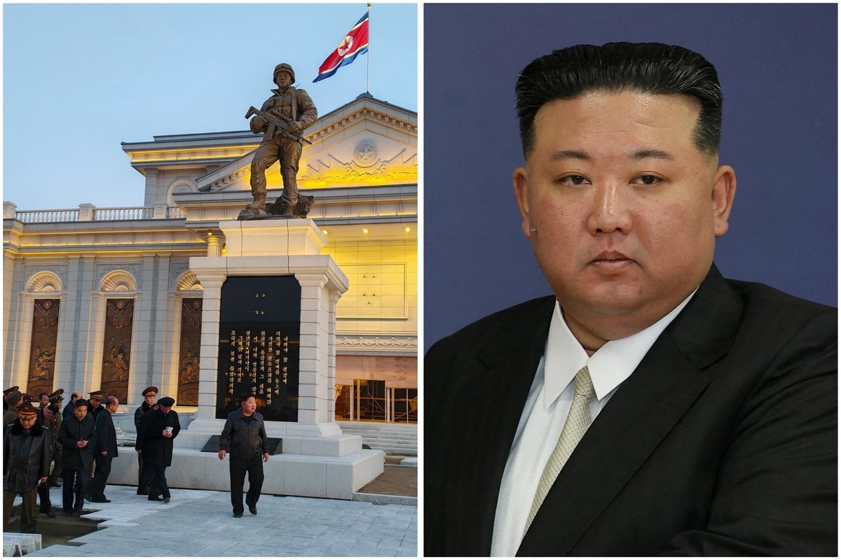 Dnnposts tweet media