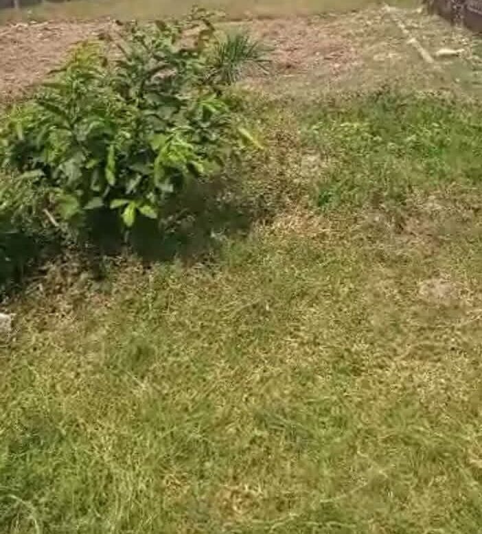 Mimi Jaja tweet media