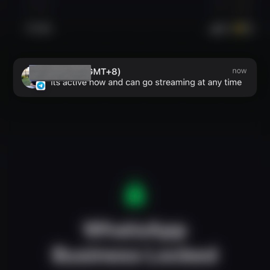 🌱Ariella Steep tweet media