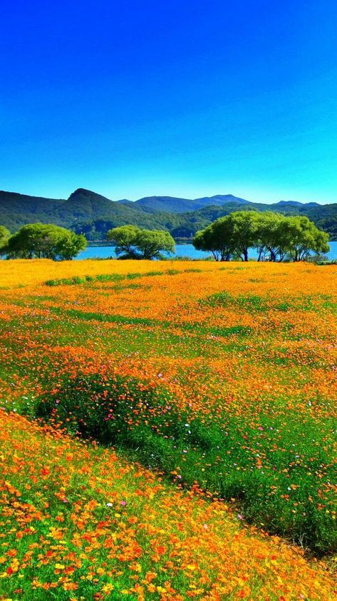 Sweet Nature (@sweet_nature1) on Twitter photo 