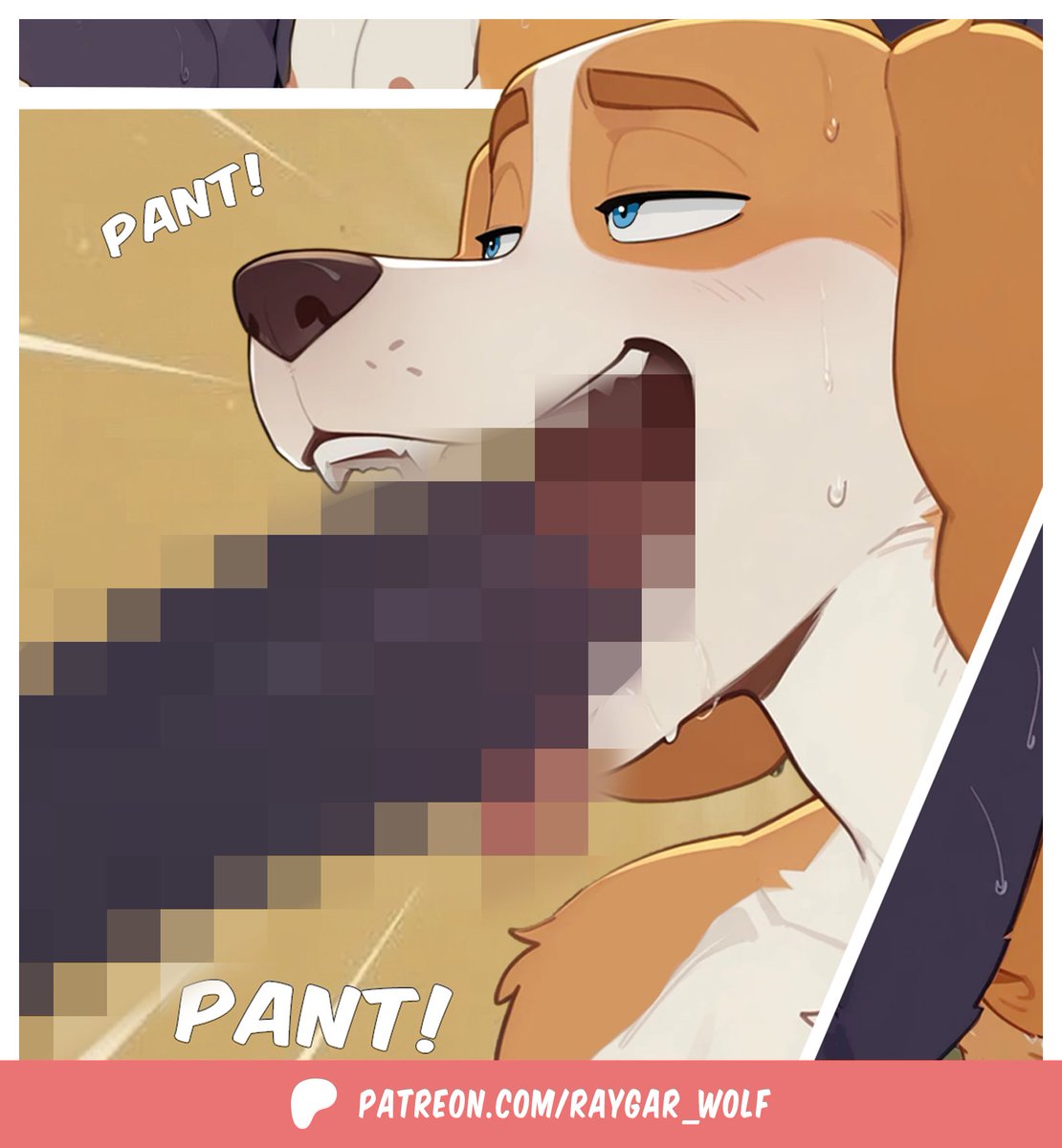 Raygar Wolf 🐺 tweet media