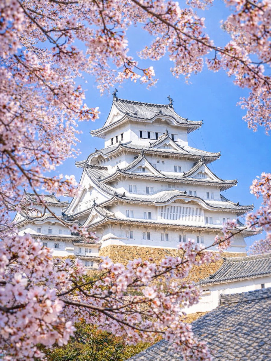 ベンジー tweet media