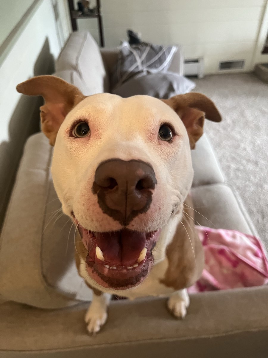 JJ in NH tweet media