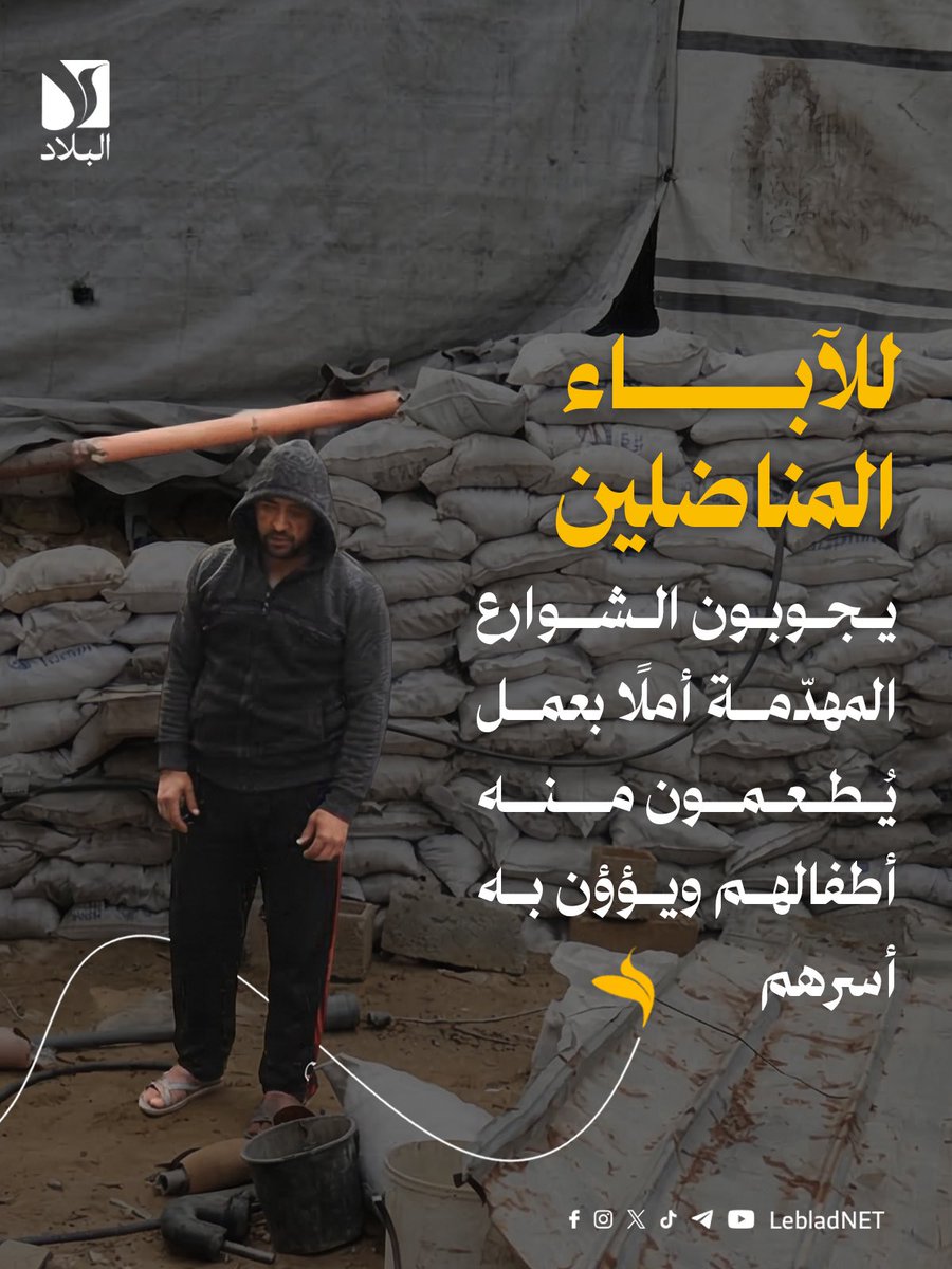 Leblad البلاد tweet media