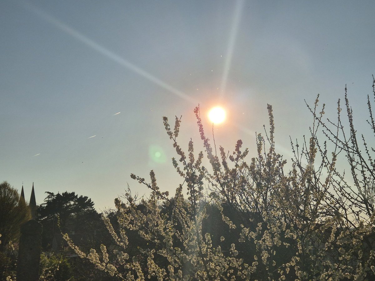 ChrisVendée tweet media