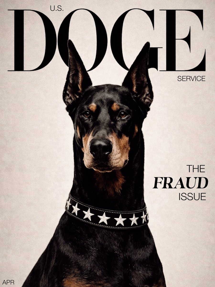 U.S. DOGE Service tweet media