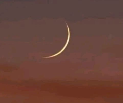 Auwal Khan🕊️ tweet media