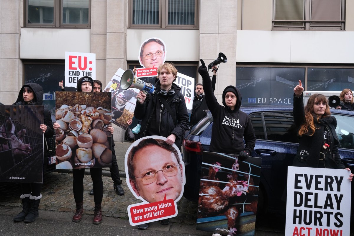 Stell dir ein Huhn vor, das niemals seine Flügel ausbreiten kann. Gitter unter den Füßen, kaum Platz zum Atmen.

Dieses Huhn ist eines von rund 300 Millionen landwirtschaftlich genutzten Tieren, die in der EU in Käfigen leiden.

Die EU-Kommissare Olivér Várhelyi und Christophe