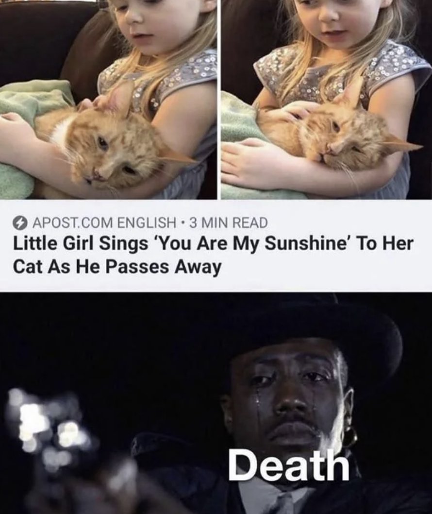 Men's Humor tweet media