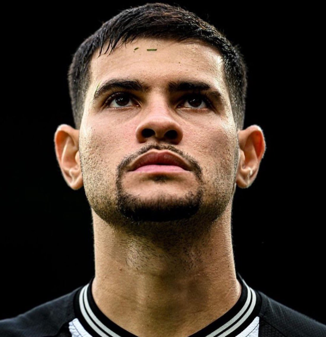 The translator tweet media