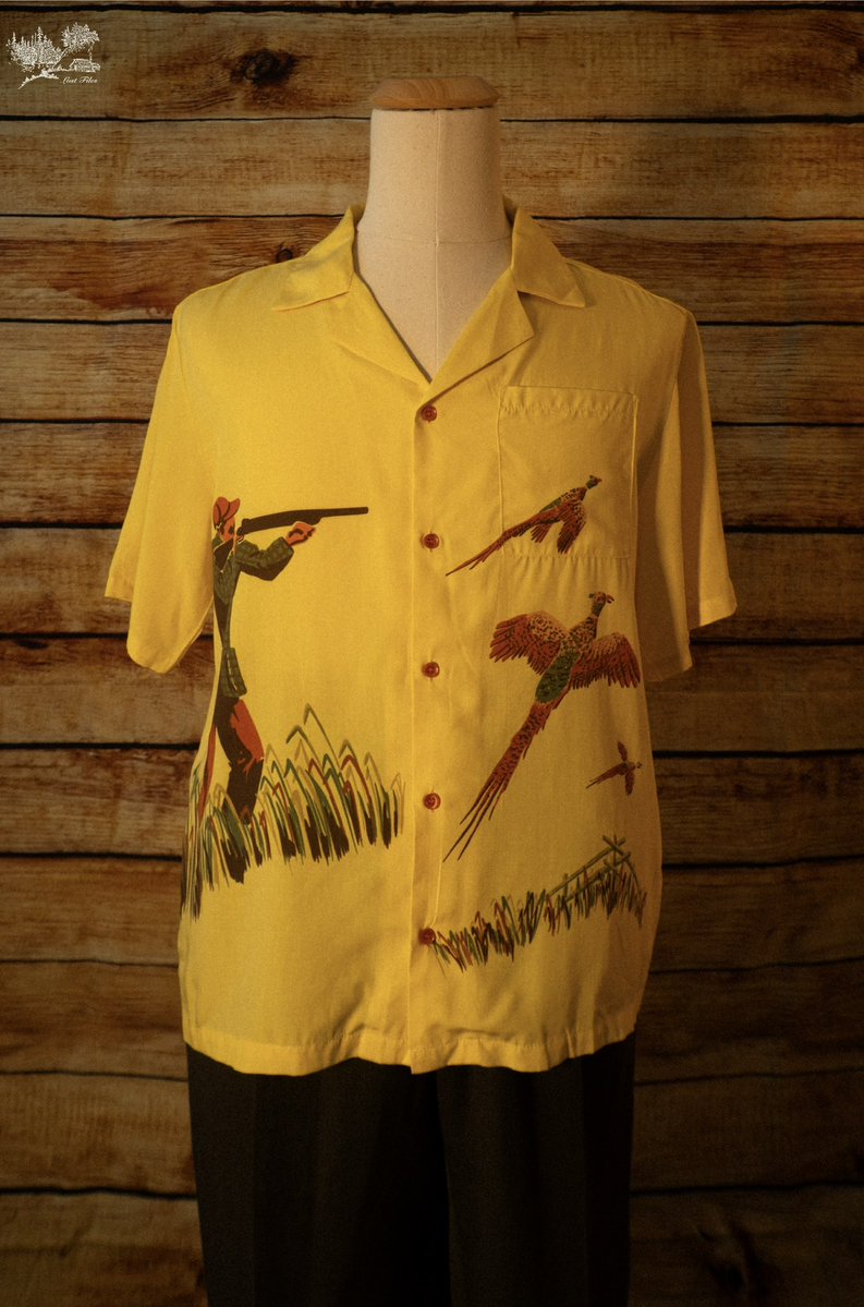 Lost Files tweet media