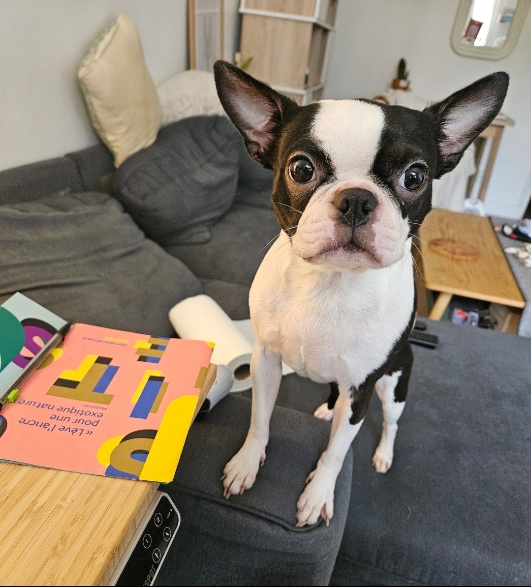 Вася Копирайтер в Хекстеке tweet media