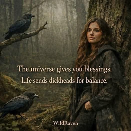 Grin & Tonic tweet media