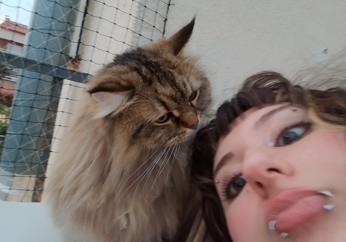 goldie! ✮🧁 tweet media