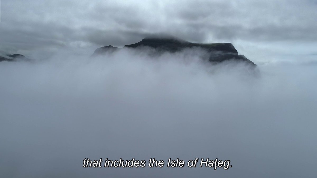 Camil Stoenescu tweet media