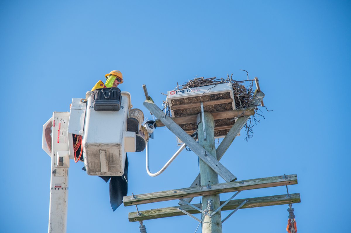 PSEG Long Island tweet media